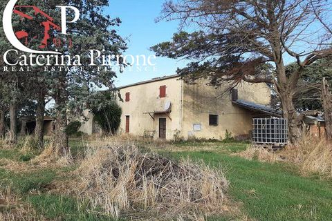 Landejendom i Rosignano Marittimo, Livorno, Rosignano Marittimo - € 390.000 | Ref: CV-PA31 - foto 1