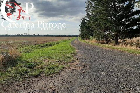 Landejendom i Rosignano Marittimo, Livorno, Rosignano Marittimo - € 390.000 | Ref: CV-PA31 - foto 3