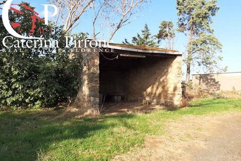 Landejendom i Rosignano Marittimo, Livorno, Rosignano Marittimo - € 390.000 | Ref: CV-PA31 - foto 6