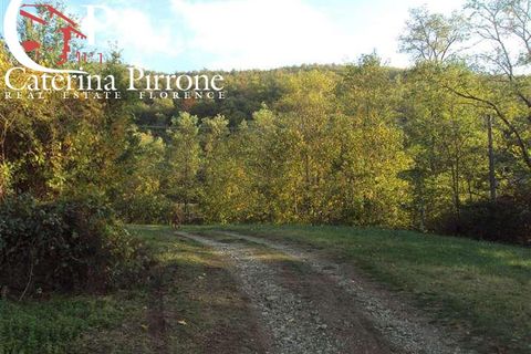 Landejendom i Dicomano, Florence, Dicomano - € 370.000 | Ref: VILL455 - foto 11
