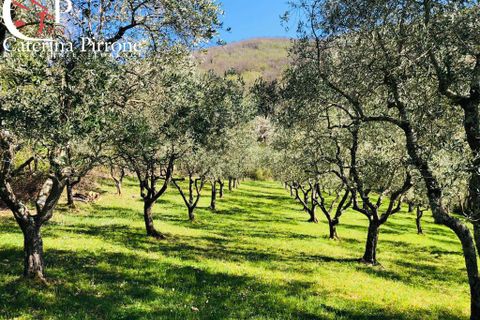 Landejendom i Dicomano, Florence, Dicomano - € 370.000 | Ref: VILL455 - foto 14