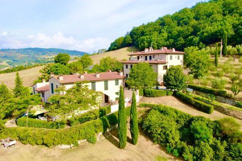 Farm i Dicomano, Florence, Dicomano - € 3.900.000 | Ref: GA40 - foto 7