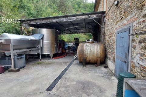 Landejendom i Dicomano, Florence, Dicomano - € 310.000 | Ref: GA80 - foto 9