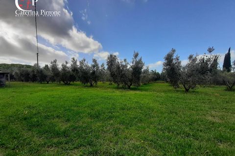 Villa i Rosignano Marittimo, Livorno, Rosignano Marittimo - € 600.000 | Ref: CV-PA424 - foto 10