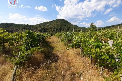Landejendom i Dicomano, Florence, Dicomano - € 270.000 | Ref: VILL83 - foto 4