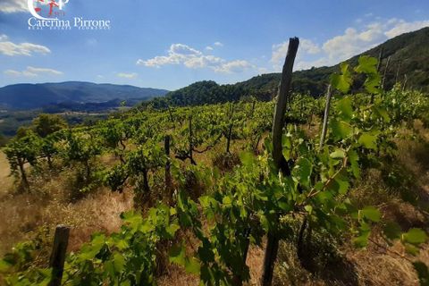 Landejendom i Dicomano, Florence, Dicomano - € 270.000 | Ref: VILL83 - foto 5