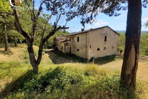 Landejendom i Dicomano, Florence, Dicomano - € 270.000 | Ref: VILL83 - foto 7