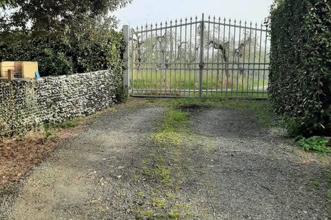 Landejendom i Rosignano Marittimo, Livorno, Rosignano Marittimo - € 540.000 | Ref: CV-PA500 - foto 6