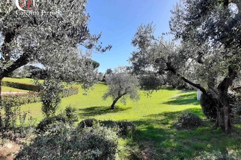 Villa a Cecina, Livorno, Cecina - € 440.000 | Ref: CV-PA121 - foto 7
