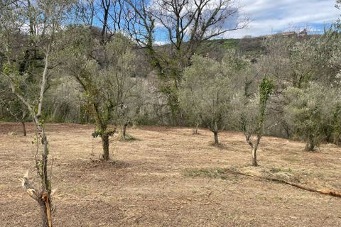 Villa en Treglio, Chieti, Treglio - € 25.000 | Ref: VR1118 - photo 14