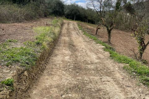 Villa en Treglio, Chieti, Treglio - € 25.000 | Ref: VR1118 - photo 16