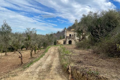 Villa en Treglio, Chieti, Treglio - € 25.000 | Ref: VR1118 - photo 41