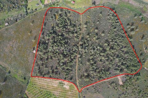 Helårsgrund i Castelo Branco, Castelo Branco, Castelo Branco - € 120.000 | Ref: 102250072 - foto 1