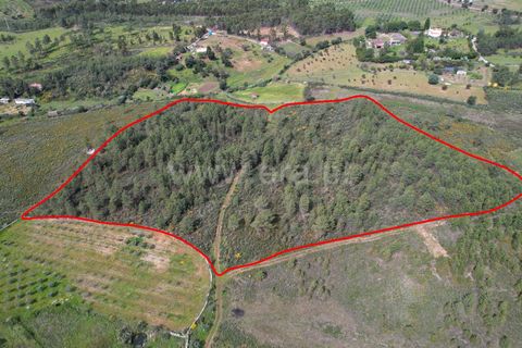 Helårsgrund i Castelo Branco, Castelo Branco, Castelo Branco - € 120.000 | Ref: 102250072 - foto 2