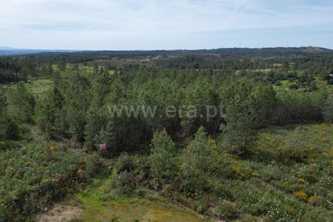 Helårsgrund i Castelo Branco, Castelo Branco, Castelo Branco - € 120.000 | Ref: 102250072 - foto 3