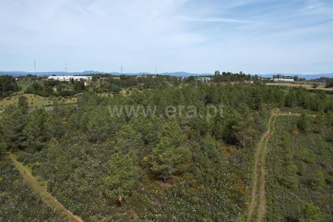 Helårsgrund i Castelo Branco, Castelo Branco, Castelo Branco - € 120.000 | Ref: 102250072 - foto 5
