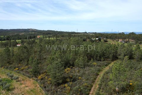 Helårsgrund i Castelo Branco, Castelo Branco, Castelo Branco - € 120.000 | Ref: 102250072 - foto 6