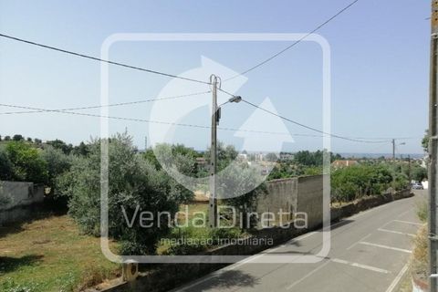 Villa a Abrantes, Santarem, Abrantes - € 244.000 | Ref: VD-2504051/W1/DD - foto 45