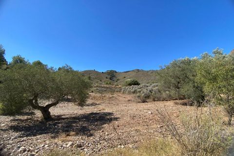 Helårsgrund i Lorca, Murcia, Lorca - € 70.000 | Ref: TPG422/12190 - foto 3