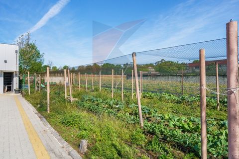 Helårsgrund i Vila Verde, Braga, Vila Verde - € 298.000 | Ref: KAZ_219 - foto 11