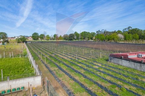 Helårsgrund i Vila Verde, Braga, Vila Verde - € 298.000 | Ref: KAZ_219 - foto 14