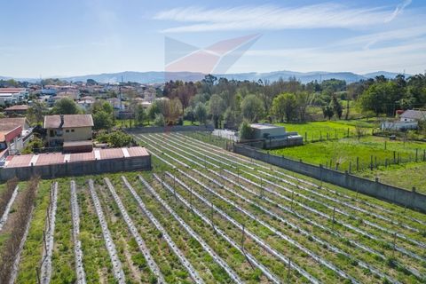 Helårsgrund i Vila Verde, Braga, Vila Verde - € 298.000 | Ref: KAZ_219 - foto 15