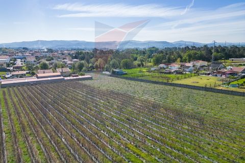Helårsgrund i Vila Verde, Braga, Vila Verde - € 298.000 | Ref: KAZ_219 - foto 16