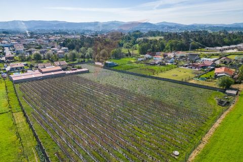 Helårsgrund i Vila Verde, Braga, Vila Verde - € 298.000 | Ref: KAZ_219 - foto 17