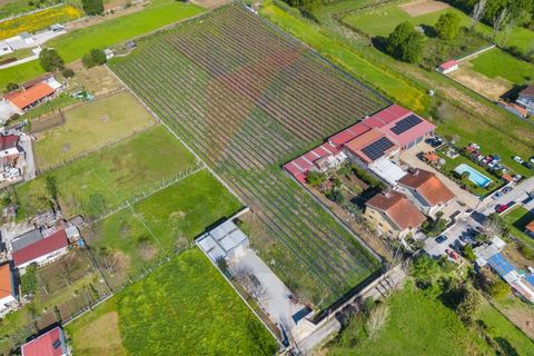 Helårsgrund i Vila Verde, Braga, Vila Verde - € 298.000 | Ref: KAZ_219 - foto 18