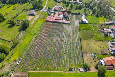 Helårsgrund i Vila Verde, Braga, Vila Verde - € 298.000 | Ref: KAZ_219 - foto 20