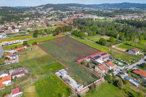 Helårsgrund i Vila Verde, Braga, Vila Verde - € 298.000 | Ref: KAZ_219 - foto 21