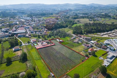 Helårsgrund i Vila Verde, Braga, Vila Verde - € 298.000 | Ref: KAZ_219 - foto 22