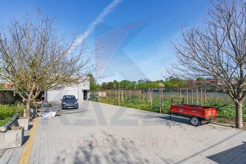 Helårsgrund i Vila Verde, Braga, Vila Verde - € 298.000 | Ref: KAZ_219 - foto 24