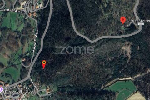 Villa i Guimaraes, Braga, Guimaraes - € 140.000 | Ref: ZMPT575807 - foto 13