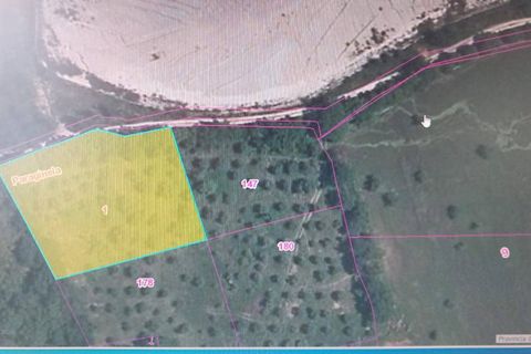 Terra a Serre, Salerno, Serre - € 25.000 | Ref: 4609 - foto 3