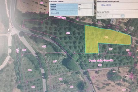 Terra a Serre, Salerno, Serre - € 30.000 | Ref: SA01-2092 - foto 2