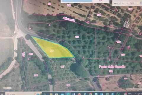 Terra a Serre, Salerno, Serre - € 30.000 | Ref: SA01-2092 - foto 3