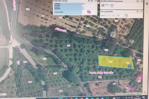 Terra a Serre, Salerno, Serre - € 30.000 | Ref: SA01-2092 - foto 4