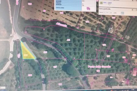 Terra a Serre, Salerno, Serre - € 30.000 | Ref: SA01-2092 - foto 5