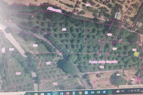 Terra a Serre, Salerno, Serre - € 30.000 | Ref: SA01-2092 - foto 6