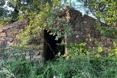 Terra a Serre, Salerno, Serre - € 30.000 | Ref: SA01-2092 - foto 7