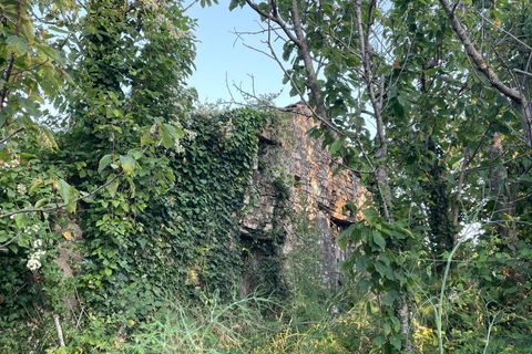 Terra a Serre, Salerno, Serre - € 30.000 | Ref: SA01-2092 - foto 8