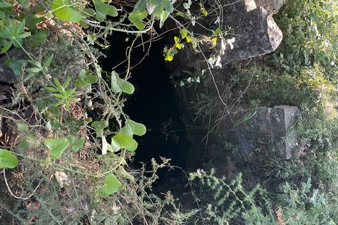 Terra a Serre, Salerno, Serre - € 30.000 | Ref: SA01-2092 - foto 9