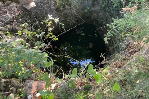 Terra a Serre, Salerno, Serre - € 30.000 | Ref: SA01-2092 - foto 10