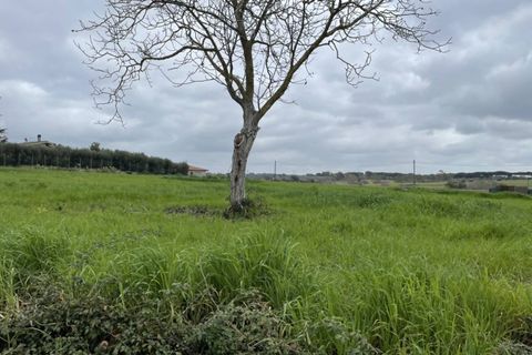 Terra a Rome, Rome, Rome - € 229.000 | Ref: AR005508 - foto 2