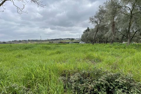 Terra a Rome, Rome, Rome - € 229.000 | Ref: AR005508 - foto 3