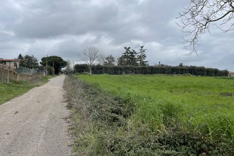 Terra a Rome, Rome, Rome - € 229.000 | Ref: AR005508 - foto 4
