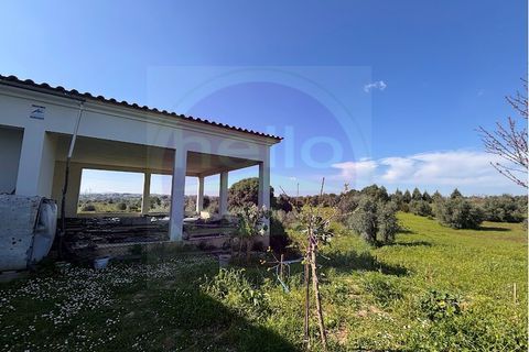 Villa i Tomar, Santarem, Tomar - € 330.000 | Ref: M 459 - foto 3