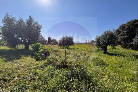 Villa i Tomar, Santarem, Tomar - € 330.000 | Ref: M 459 - foto 7