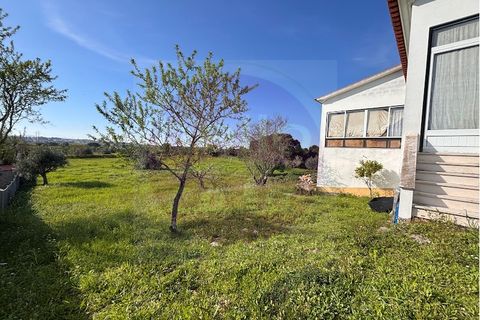 Villa i Tomar, Santarem, Tomar - € 330.000 | Ref: M 459 - foto 31